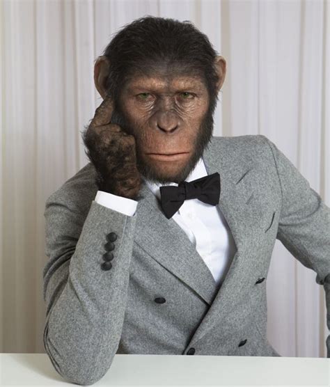 Style It Like Caesar Planet Of The Apes Monkeys Funny Monkey Pictures