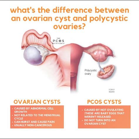 Eat natural based foods like egg, fresh fruits. Pin en PCOS