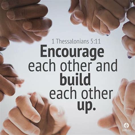 Encourage Each Other And Build Each Other Up Pictures Photos And