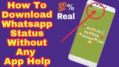 Download whatsapp plus apk latest version on your android device. How To Download Whatsapp Status No Any App Help!By ...