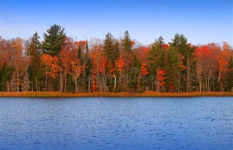 Colorful Autumn Trees By Lake Side Stock Photo Image Of Branch