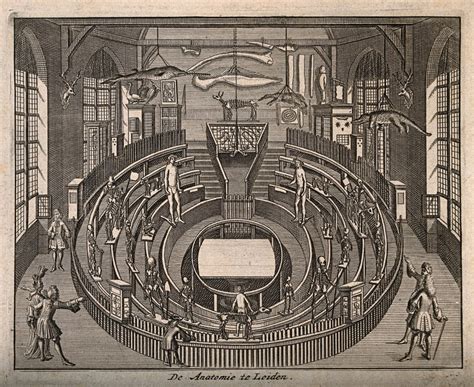 Anatomy Theatre Leiden The Netherlands Line Engraving Wellcome