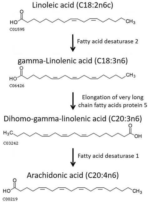 Fatty Acids in Veterinary Medicine and Research | IntechOpen