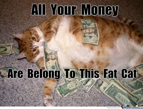 Fat Animal Memes Image Memes At