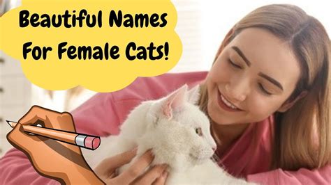 25 Best Cute Female Cat Names With Hidden Meaning Youtube