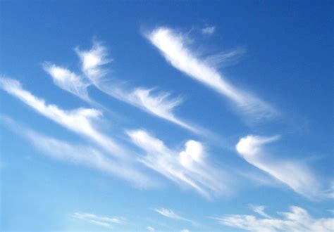 Herzlich Rvvlich Brush Touch Cirrus Clouds