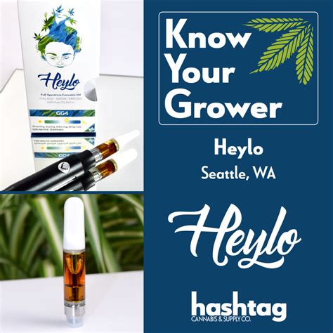 Know Your Grower Heylo Cannabis — Hashtag Cannabis