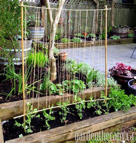 15 ideas of diy pea trellis. 20+ Awesome DIY Garden Trellis Projects - Hative