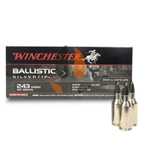 Winchester Ballistic Silvertip 243 Wssm 95 Grs Sur Chasse Concept