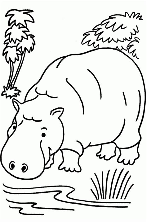 Jungle Animals Coloring Page For Kids 7 Jungle Animal Coloring