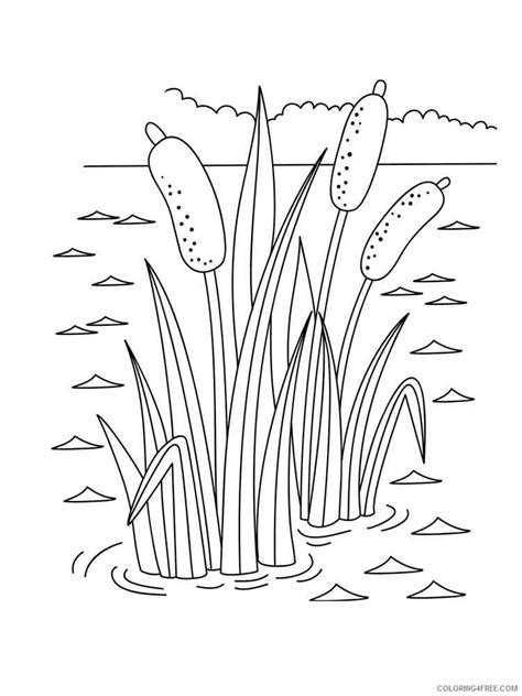 Swamp Coloring Pages Nature Swamp 11 Printable 2021 743 Coloring4free