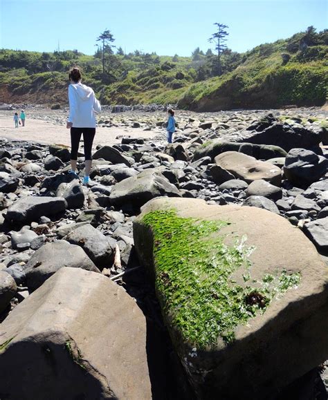 Beachcombing