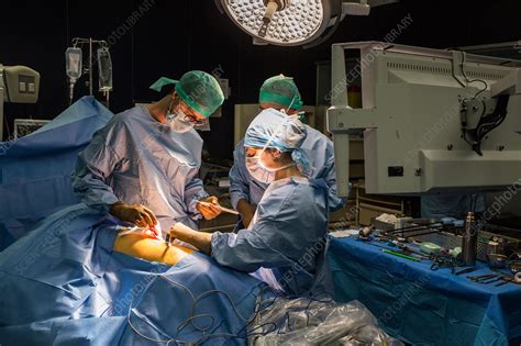 Kidney Surgery Stock Image C0507968 Science Photo Library