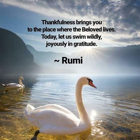 29 Gratitude Spirituality Rumi Quotes