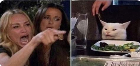 Angry Women Yelling At Confused Cat At Dinner Table Blank Template