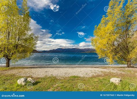 New Zealand Landscape Lake Wanaka Glendhu Bay Stock Image Image Of