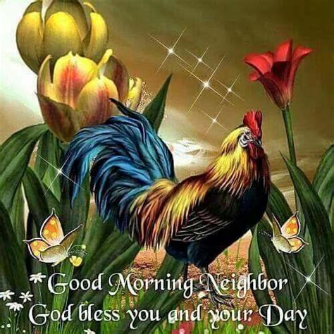 Please allow 10 minutes for the post to appear before messaging moderators. Good Morning Neighbor Pictures, Photos, and Images for ...