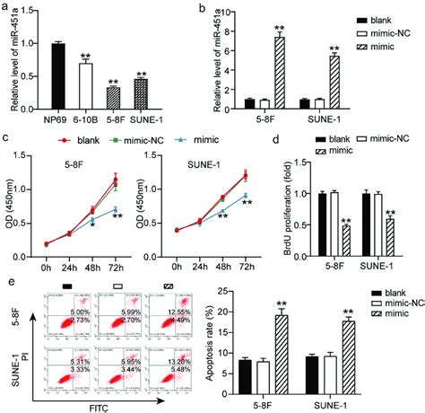 mir 451a could inhibit the npc cells proliferation a mrna levels of download scientific