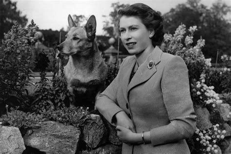 She celebrated 65 years on the throne in february 2017 with her for much of her life, the queen has surrounded herself with dogs. 450 Years of Royal Style, From Elizabeth I to Baby ...