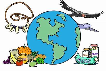 Biodiversity Clipart Drawing Earth Bio Benefits Science
