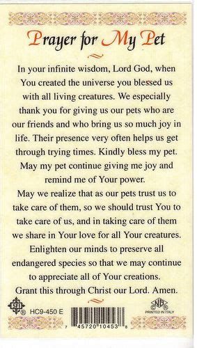 Francis of assisi on the front, and a prayer for my pet on the back. Prayer for My Pet -1 | Prayers, Animal quotes, Pets