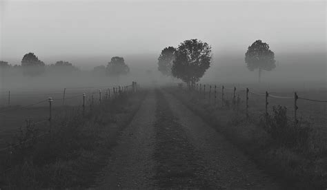 Morning Mist Photograph By Mountain Dreams Fine Art America