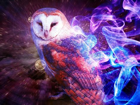 Pin By Beverly Benkart On Magical And Mystical Owl Wallpaper Owl