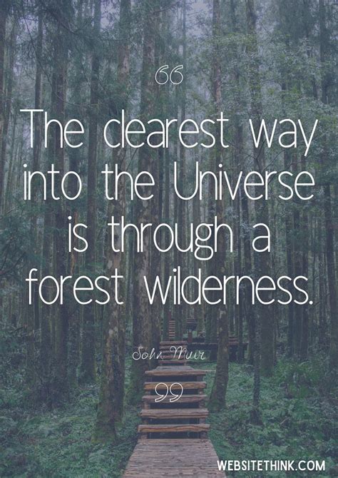 67 Appreciative Quotes About The Forest 🥇 Images