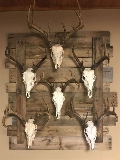 My European Mounts 1000 Deer Head Decor Deer Hunting Decor Deer