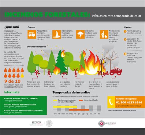 Cinco Recomendaciones Para Evitar Incendios Forestales Centro