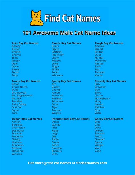 101 Male Cat Names Ideas Find Cat Names