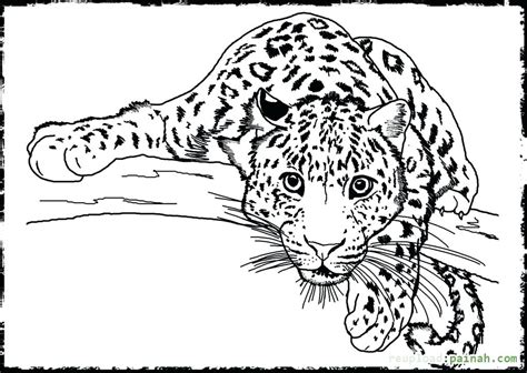Realistic Wild Animal Coloring Pages At