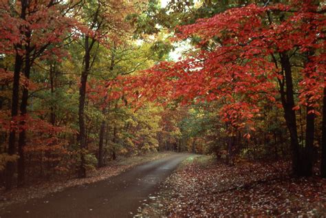 Fall Colors Natchez Trace Parkway Us National Park Service