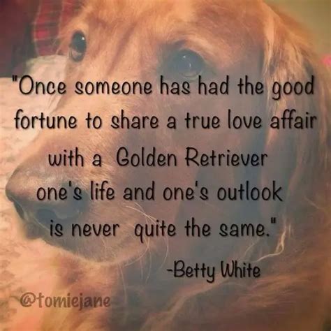 17 Best Golden Retriever Quotes And Sayings The Paws