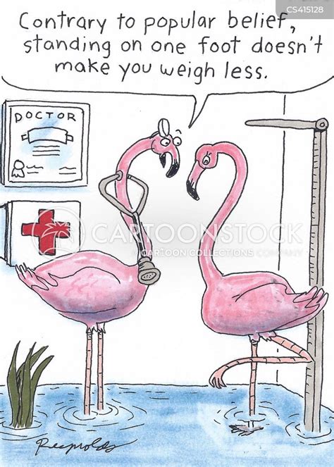 Flamingo Cartoons And Comics Funny Pictures From