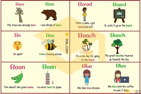 300 Cool Examples Of Homophones In English From A Z • 7esl