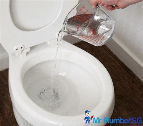 5 Diy Ways To Unclog Your Clogged Toilet Drain Mr Plumber Singapore