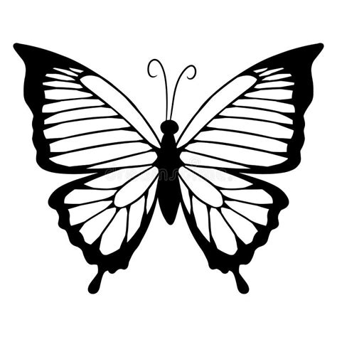 Silueta Negra De La Mariposa Plantilla Aislada Del Vector Icono Del Web