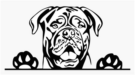 Recklessly Clip Art German Shepherd Clipart Black And White