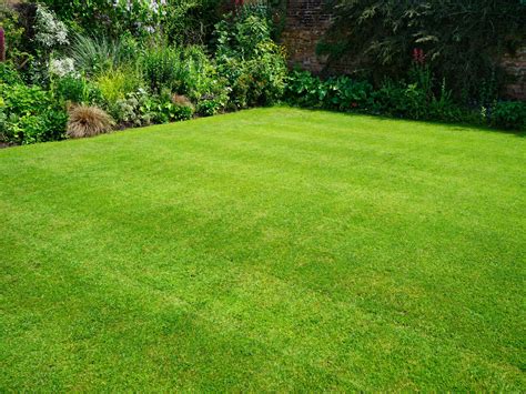 Easy Tips For Maintaining A Healthy Lawn This Old House