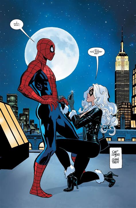 Idea By Michael Iori Aycardo On Spidey Black Cat Marvel Spiderman