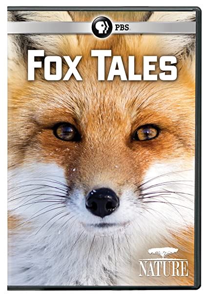 Nature Fox Tales Edizione Stati Uniti Italia Dvd Amazones