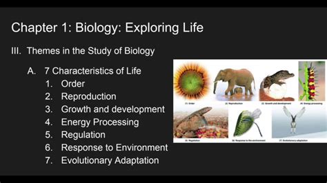 7 Chapter 1 Biology Exploring Life Venittajabin