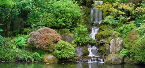 Waterfall At Japanese Garden Panorama Stock Image Image Of Plants