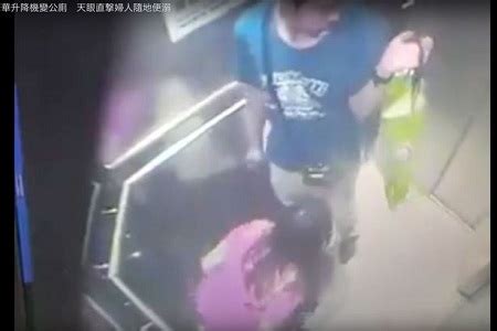 Shocking Woman Caught On Cctv Urinating In A Lift As Another Man Holds Her Bag And Looks On Video