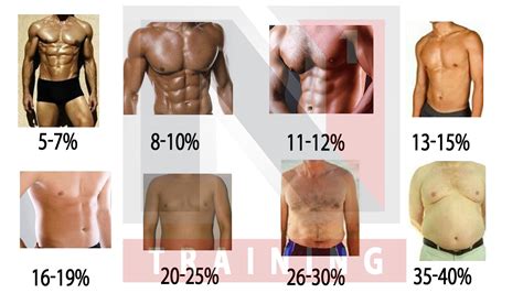 Visual Body Fat Chart