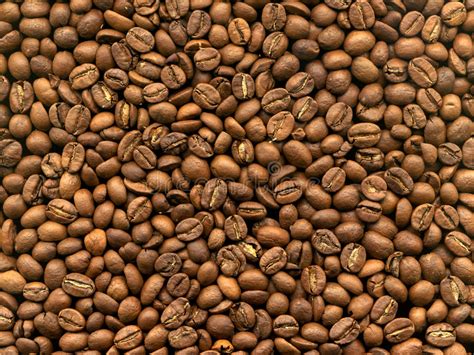 Grain Coffee In Macro Stock Image Image Of Espresso Drink 2748263