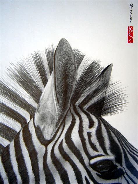 This is hyper extreme close up of a pencil tip drawing on paper. by mike szegedi on vimeo, the home for high quality videos and the people who love them. Zebra Close Up Pencil Drawing By Eric Stavros ...