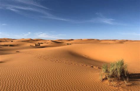 The Largest Desert In The World 5 Of The Worlds Largest Deserts Bhaitv