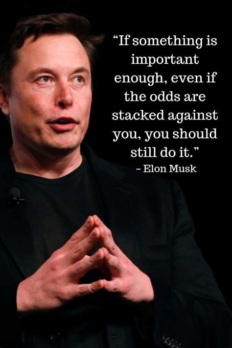 If Something Is Important Enough Even Elon Musk 735x1102 R